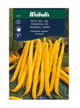 Voksbønne, lav 'Sonesta'